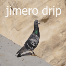 Jimero Drip GIF - Jimero Drip Jimero_drip GIFs