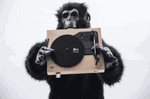 gorila spinbox music turntable record