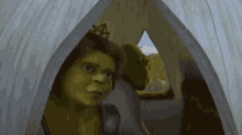 Shrek Radicspeti GIF - Shrek Radicspeti Sputnyik GIFs