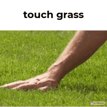 Touch Grass GIF - Touch Grass Touch Grass GIFs