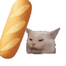 bread bonk