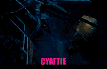 Cyattie Ting GIF - Cyattie Ting Weopslenquakush GIFs