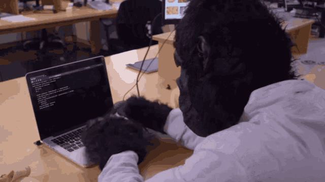 A Coding Monkey