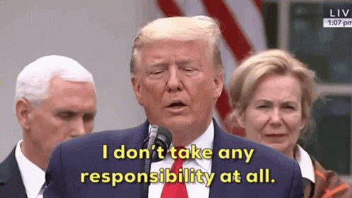 Donald Trump Responsibility GIF - Donald Trump Responsibility I Dont Take Any Responsibility At All GIFs