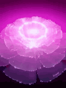 Abstract Floral GIF - Abstract Floral Animated GIFs