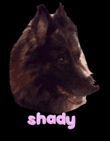 Shady Dog GIF - Shady Dog Shadow GIFs