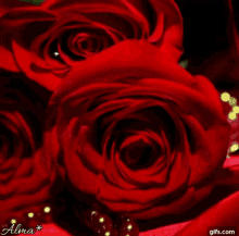 Bendiciones Rosas Rojas GIF - Bendiciones Rosas Rojas Blessings GIFs