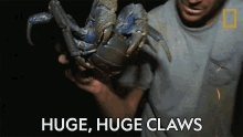 Huge Claws Primal Survivor GIF - Huge Claws Primal Survivor Luring In The Coconut Crab GIFs