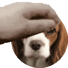 Petpet Spisy Sticker - Petpet Spisy Dog Stickers