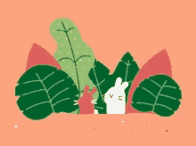 bunnies cabbages