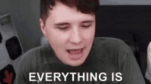 Everything Is Fine Is This Real Life GIF - Everything Is Fine Is This Real Life Fine GIFs