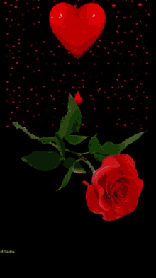 Kisses Red Rose GIF - Kisses Red Rose Heart GIFs