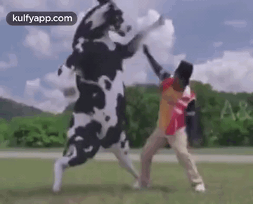 Terri Joe's Thoughts - Page 17 Cow-fight-vadivelu