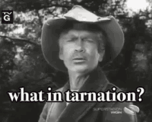 What In Tarnation GIF - What In Tarnation Jed Clampett GIFs
