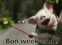 Bon Week-end ! GIF - Pig Bon Weekend Excited GIFs