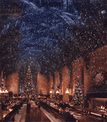 Harry Potter GIF - Harry Potter Christmas GIFs