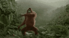 Monkey Gorilla GIF - Monkey Gorilla Funny GIFs