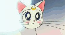Sailor Moon Artemis GIF - Sailor Moon Artemis Blushing GIFs