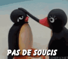 Pas De Soucis GIF - Pas De Soucis Penguin Patting Head GIFs