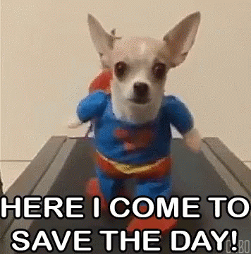 Save The Day GIF - Save The Day GIFs