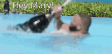 happy birthday mary beer swim pool