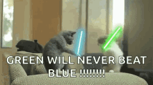 cat cats funny light sabers light saber