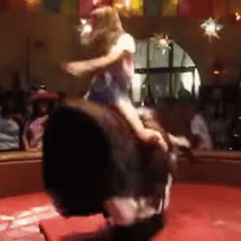 Reverse Cowgirl Gifs