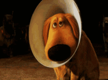 Dog Funny GIF - Dog Funny Sad GIFs