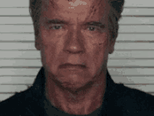 Arnold Schwarzenegger Terminator GIF - Arnold Schwarzenegger Terminator Smile2 GIFs