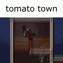 miami tomato