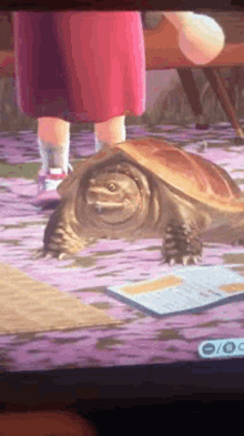 Acnh Snapping GIF - Acnh Snapping Turtle GIFs