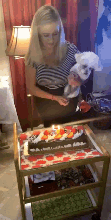 Birthday Poodle Dog GIF - Birthday Poodle Poodle Birthday GIFs