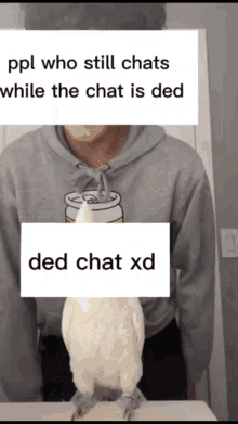 Ded Chat GIF - Ded Chat Xd GIFs