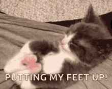 Feet Up GIF - Feet Up Kitty GIFs