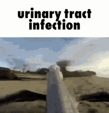urine urinary tract urinary tract infection