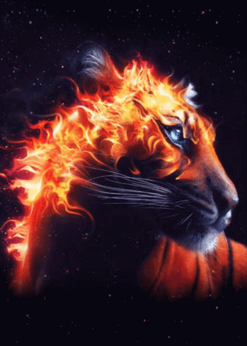 Fiery Tiger GIF - Fiery Tiger Fire - Discover & Share GIFs