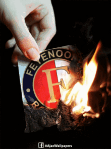 Mokum Feyenoord GIF - Mokum Feyenoord Feijenoord GIFs