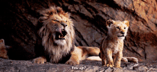 The Lion King Simba GIF - The Lion King Simba You Up GIFs