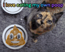 Pussums Eating GIF - Pussums Eating Poop GIFs