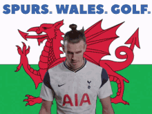 Bale Spurs GIF - Bale Spurs Tottenham GIFs