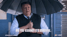 Are You Kidding Its Beautiful Scully GIF - Are You Kidding Its Beautiful Scully Brooklyn Nine Nine GIFs
