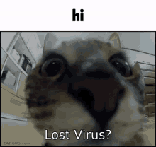 Lostvirus Roblox GIF - Lostvirus Roblox GIFs