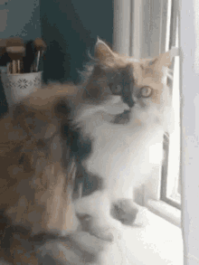 Cat Fail GIF - Cat Fail Cat Fail GIFs
