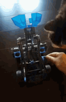 Catapult Play GIF - Catapult Cat Play GIFs