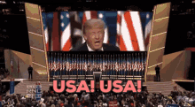 Usa Party GIF - Usa Party In GIFs