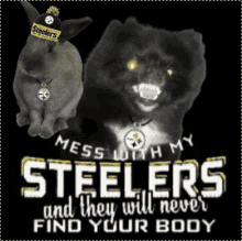 dont mess with my steelers pittsburgh steelers fight for steelers