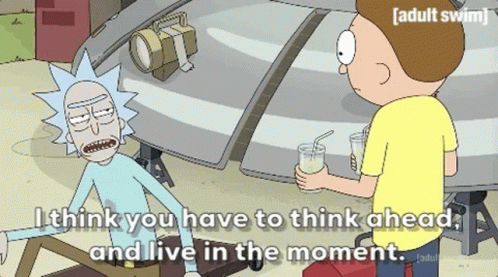 Rick And Morty I Like You Have To Think Ahead And Live In The Moment GIF -