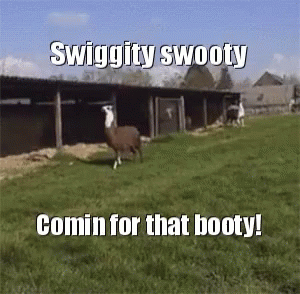 Swiggity Swooty Deer GIFs Tenor.