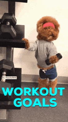Workout Goals Puppy GIF - Workout Goals Workout Puppy GIFs