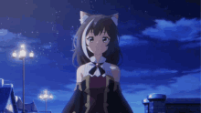 kyaru catgirl